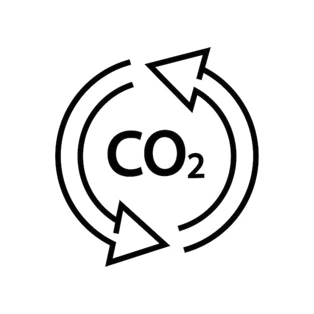 Carbon offset credit